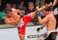 Ufc 142: Vitor Belfort Vs. Anthony Johnson.